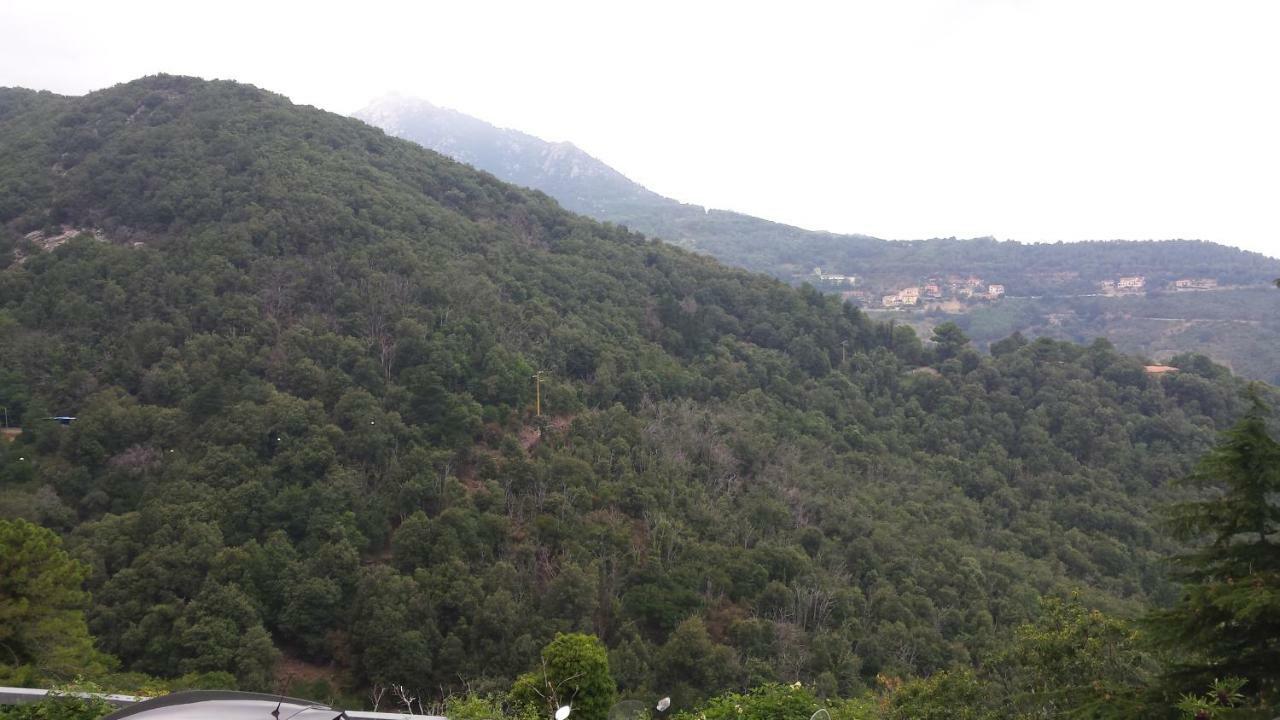 La Casalina Dell'Elba Daire Marciana  Dış mekan fotoğraf