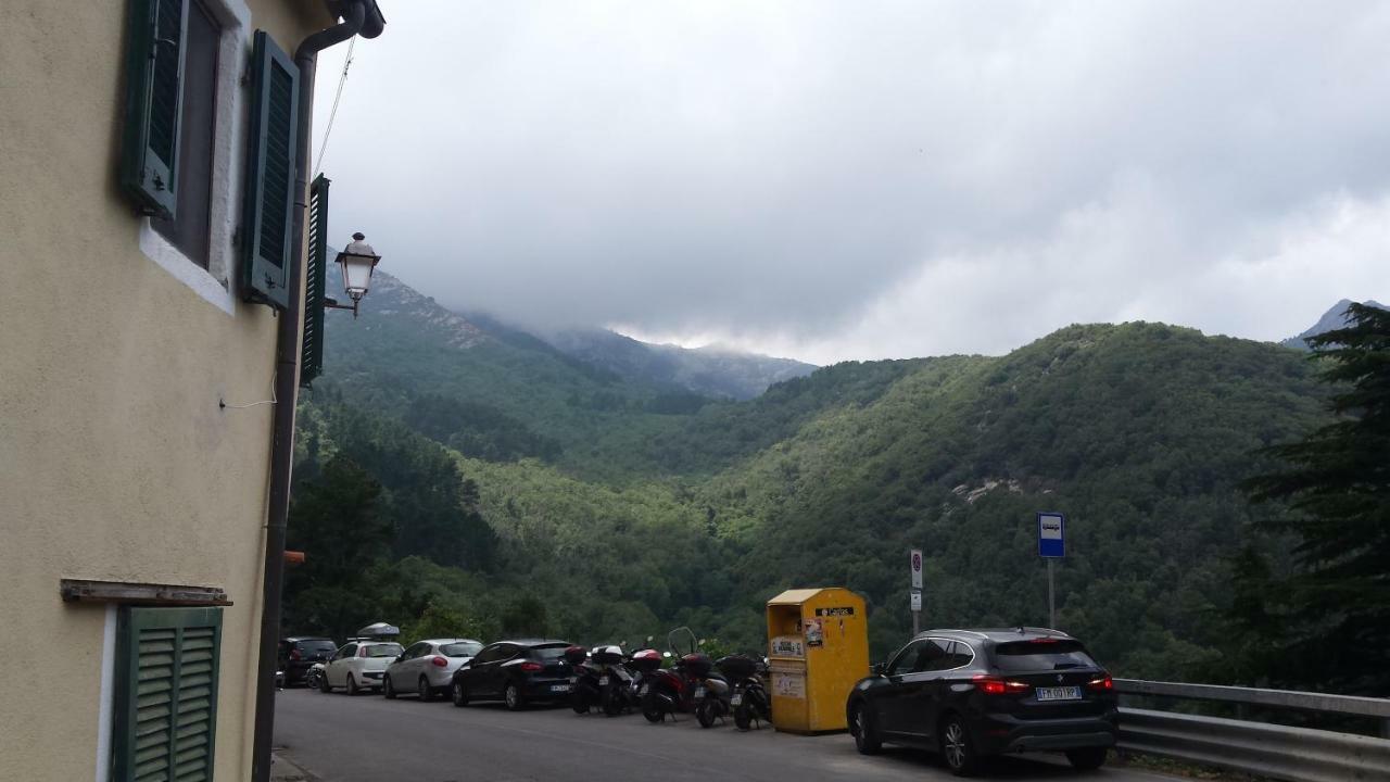 La Casalina Dell'Elba Daire Marciana  Dış mekan fotoğraf