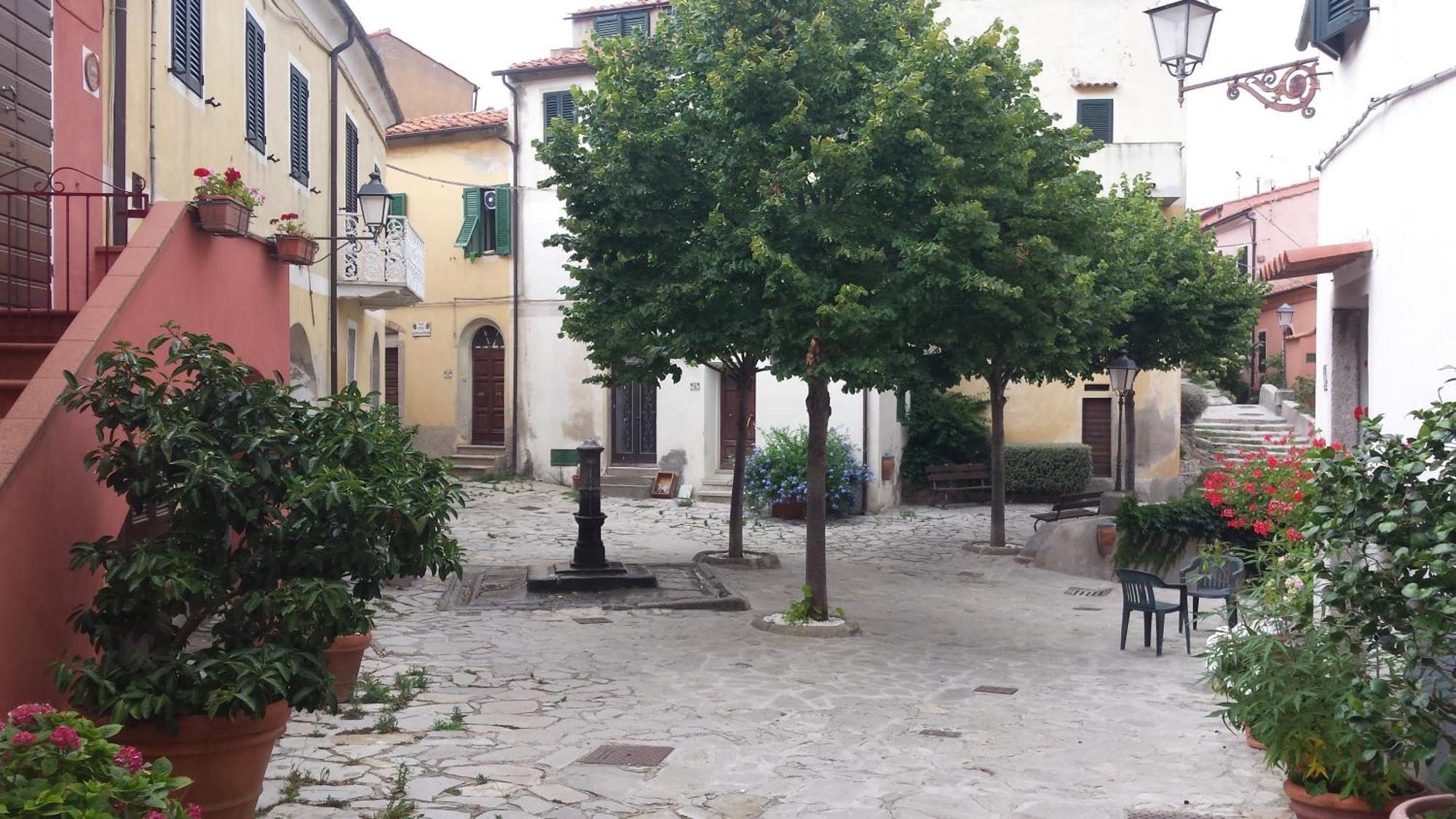 La Casalina Dell'Elba Daire Marciana  Dış mekan fotoğraf