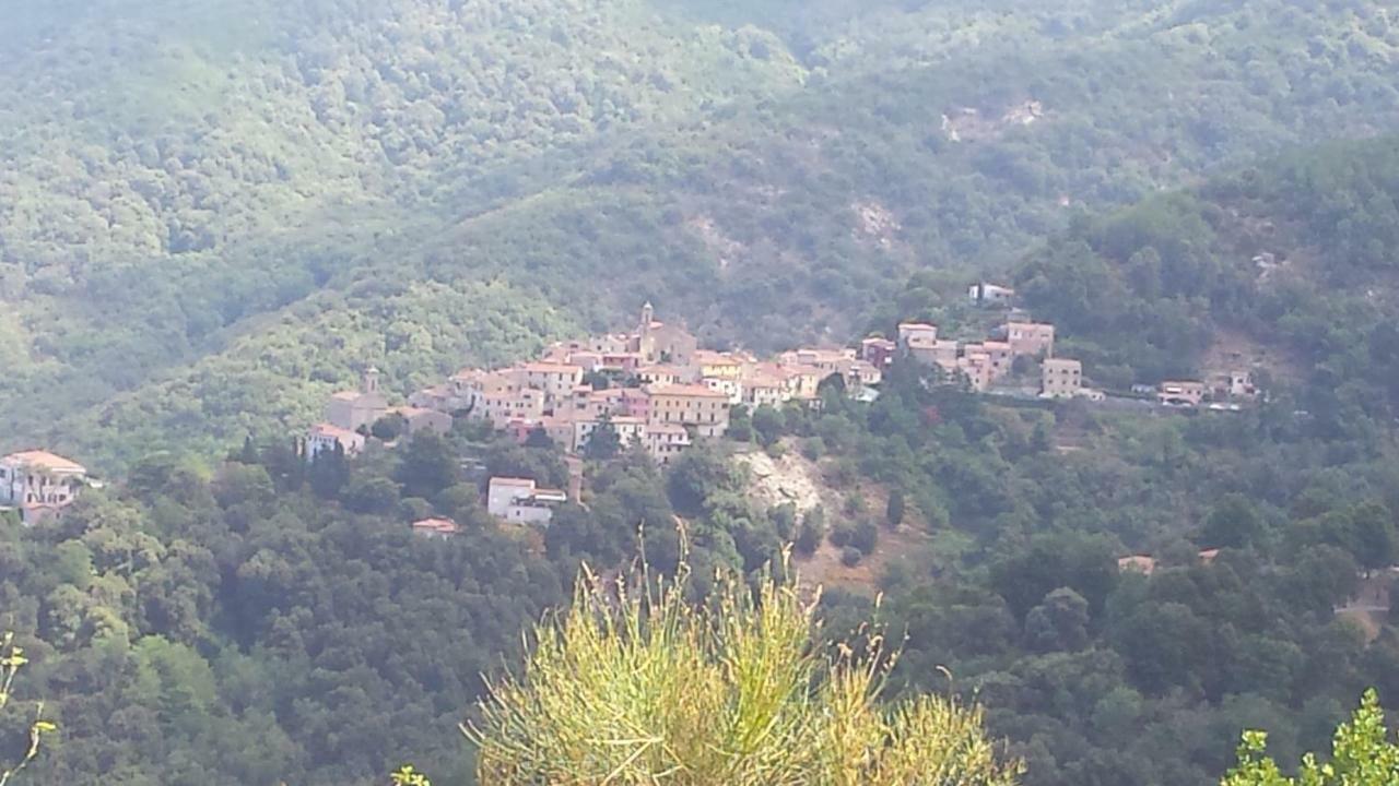 La Casalina Dell'Elba Daire Marciana  Dış mekan fotoğraf